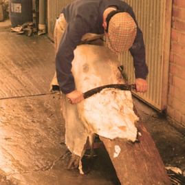 Curtidos Hijos de Pedro Pérez hombre trabajando con piel